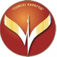 VI Международный фестиваль хореографического искусства "Сожскi Карагод" (Белоруссия, Гомель)