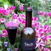 Австрийское вино Burgenland Salzl
