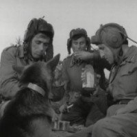 Сериал "Четыре танкиста и собака" (1966)