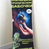Выставка бабочек и хищных растений (Россия, Орел)