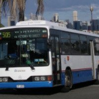 Автобусы города Сидней (Австралия)