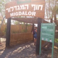 Заповедник кораллового берега "Migdalor" (Израиль)