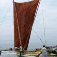 Океанская прогулка на катамаране в Шри-Ланке