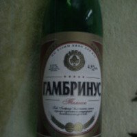 Пиво "Гамбринус"