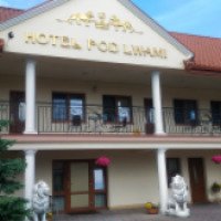 Отель Hotelik pod Lwami 