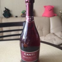 Игристое вино CANTI BRACHETTO
