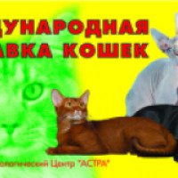 Международная выставка кошек "Звезда Альтаир" (Россия, Москва)