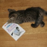 Книга "Записки кота Шашлыка" - Алекс Экслер