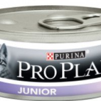 Влажный корм для котят Pro Plan Junior
