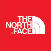 Детские кроссовки The North Face