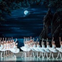 Балет "Лебединое озеро" - Театр балета Леонида Якобсона (Россия, Санкт-Петербург)