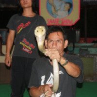 Шоу со змеями (Тайланд, Краби)
