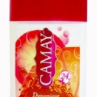 Твердый дезодорант-антиперсперант Camay Thai Dynamique Grapefruit
