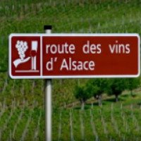 Экскурсия по винной дороге Эльзаса 