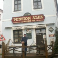 Отель Pension Alfa 3* 
