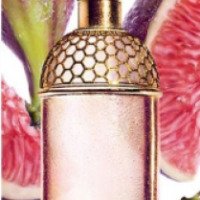 Туалетная вода Guerlain Aqua Allegoria Figue