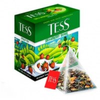 Чай Tess Strawberry shake зеленый байховый со вкусом земляники