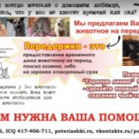 Благотворительный фонд помощи животным "Горячая линия Потеряшки" (Россия, Тюменская область)