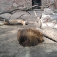 Зоопарк в г. Айямонте 