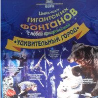 Цирк-Шоу "Гигантских фонтанов" (Беларусь, Гомель)