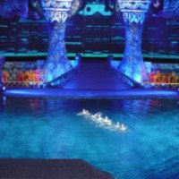 Водное шоу "Тайна подземного моря" в СК Олимпийский (Россия, Москва)