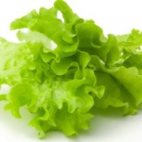 Салат листовой "Зеленая линия"