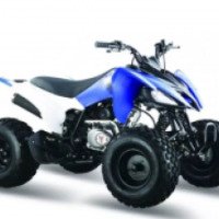 Квадроцикл Motoland 125 ATV