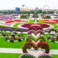 Парк цветов Miracle Garden (ОАЭ, Дубаи)