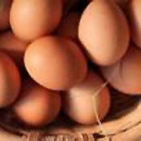Яйца куриные пищевые "Сметанино"