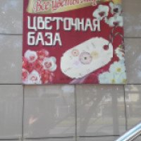 Цветочная база "Все цветы мира" (Россия, Москва)