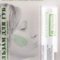 Регенерирующий и защитный бальзам для губ Green Mama SPF 2