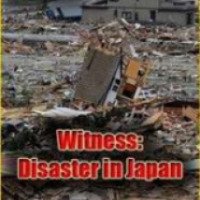 Документальный фильм "Свидетели катастрофы в Японии" (2011)