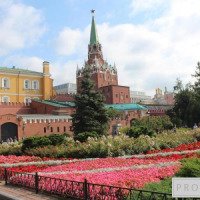 Экскурсия "Музеи Московского Кремля" 