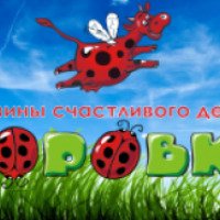 Сеть магазинов детского питания "Коровки" (Россия, Кострома)