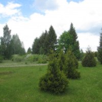 Дендрологический сад им. С. А. Гомзы (Беларусь, Мядель)