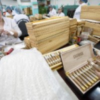 Погарская сигаретно-сигарная фабрика (Россия, Погар)