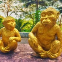 Гора обезьян Monkey Hill (Таиланд, Пхукет)