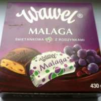 Шоколадные конфеты Wawel "Malaga"
