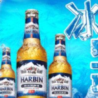 Пиво Harbin
