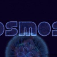 Логическая игра OSMOS