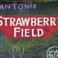 Экскурсия на Земляничные Поля Strawberry Fields 