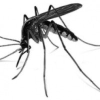 Лосьон-спрей репеллентный "Kontra" от укусов комаров, мошек и слепней