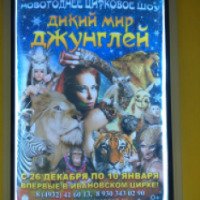 Новогоднее цирковое шоу "Дикий мир джунглей" (Россия, Иваново)