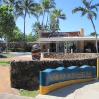 Аквариум "Waikiki Aquarium" 