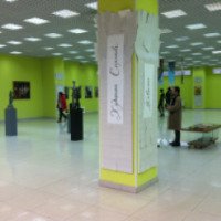 Выставка "Художники Саратова" в ТЦ Триумф Молл (Россия, Саратов)