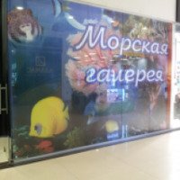 Выставка экзотических рыб "Морская галерея" (Россия, Ростов-на- Дону)