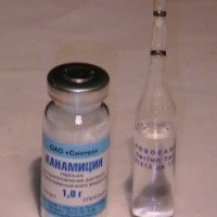 Порошок для приготовления раствора для внутримышечного введения Синтез "Канамицин"