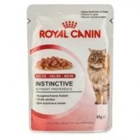 Влажный корм для кошек Royal Canin Instinctive
