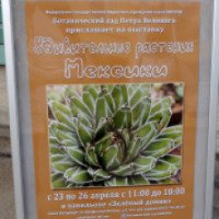 Выставка "Удивительные растения Мексики" в Ботаническом саду Петра Великого (Россия, Санкт-Петербург)