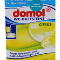 Средство для дезинфекции унитаза Domol Лимон + корзинка